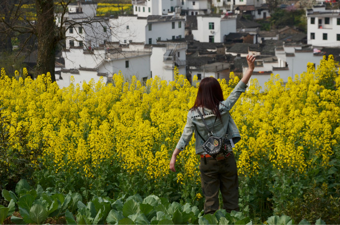 捉迷藏的猫小乐
