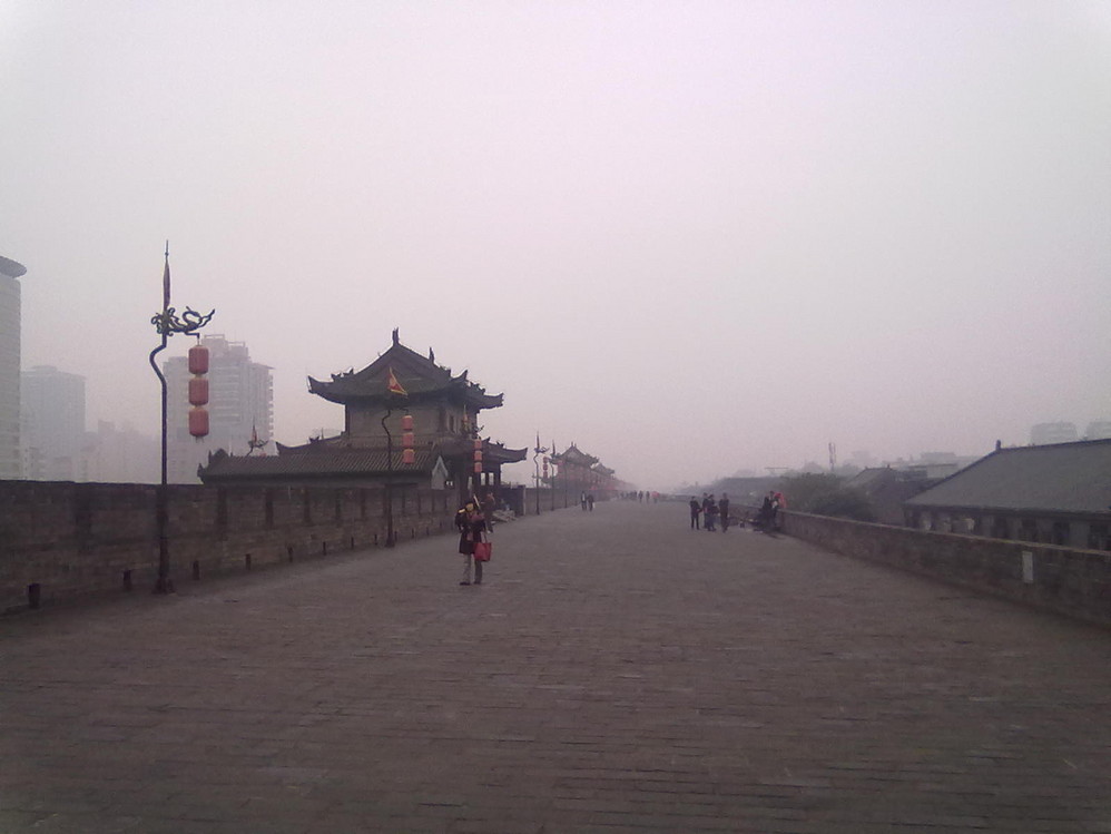 陕西西有多少人口_陕西人口(2)