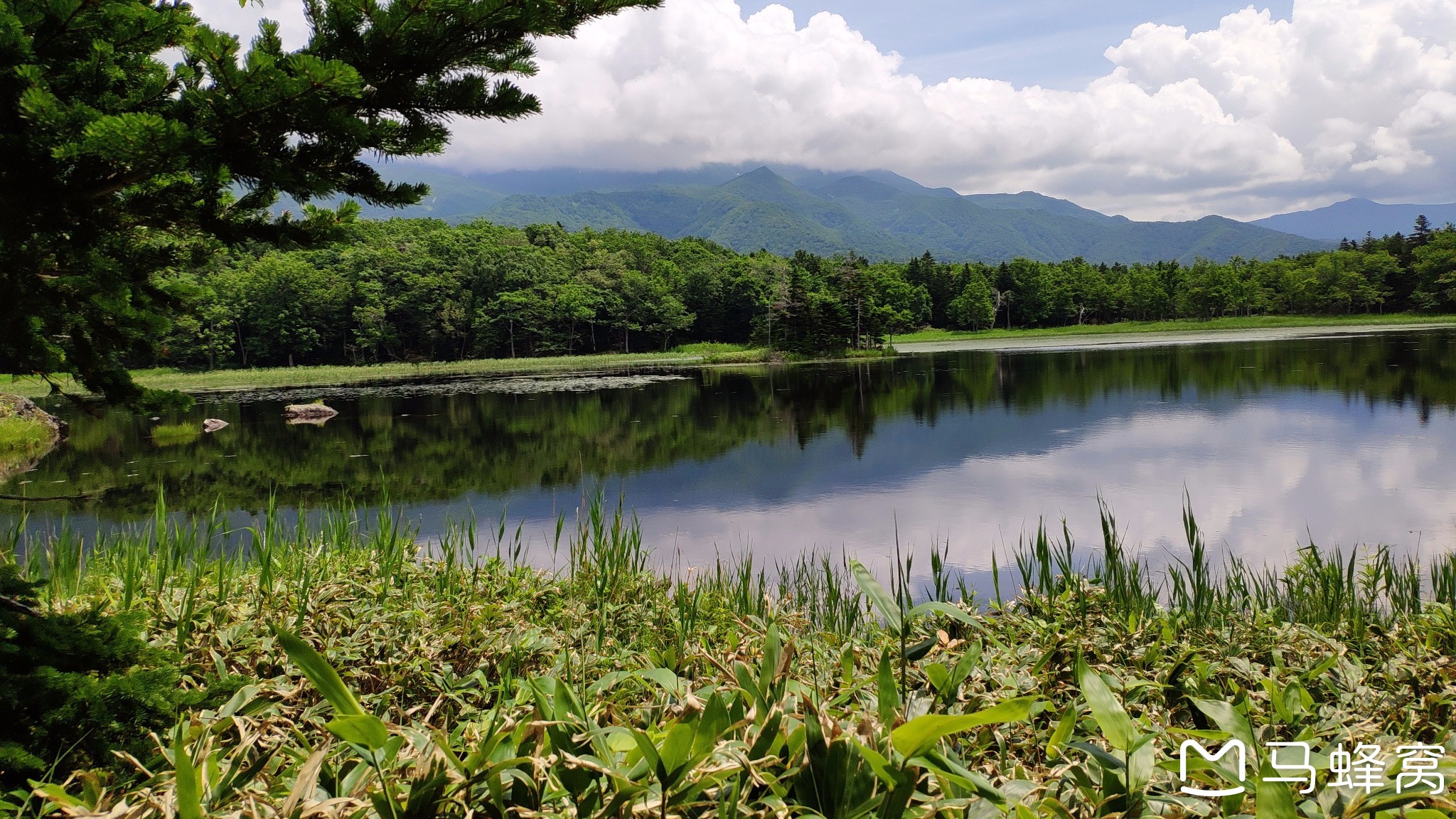 北海道自助遊攻略