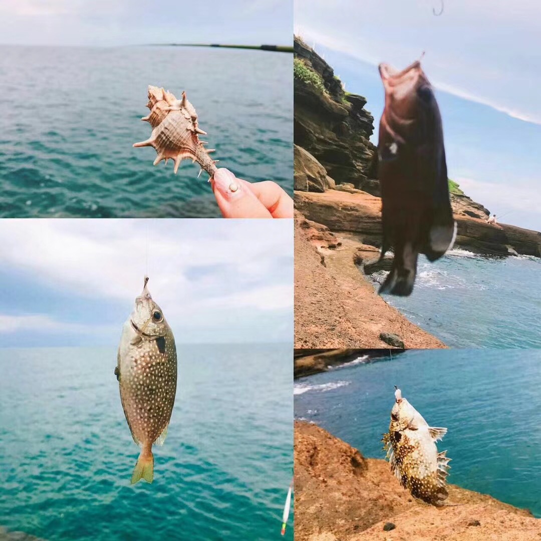 斜阳岛一日游(出海/潜水/海钓/浮潜/环岛 涠洲岛快艇往返)