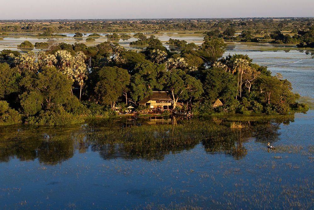 泳池 乔贝国家公园 狐玝 马卡迪卡迪盐沼 奥卡万戈三角洲wilderness