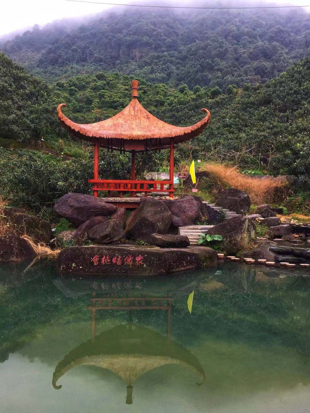 香蜜山生态果庄.枇杷季