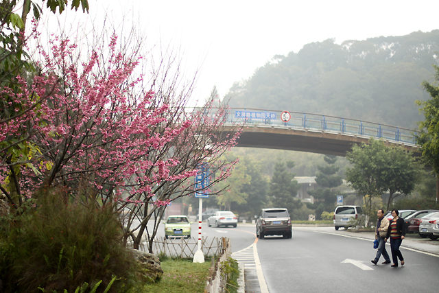 厦门:爱她就带她去文曾路