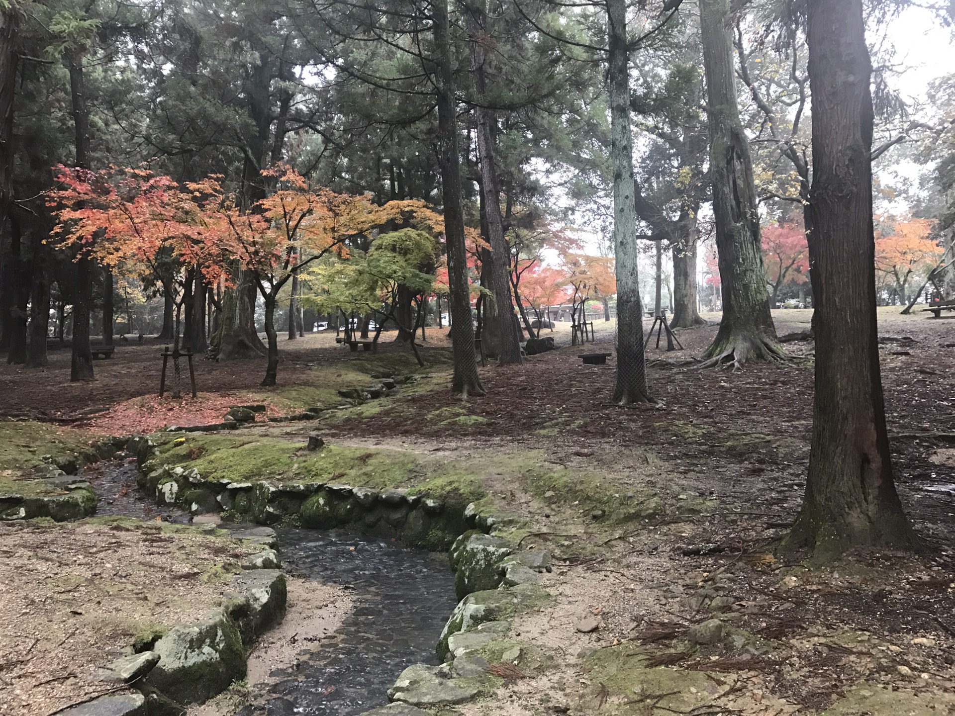 京都自助遊攻略