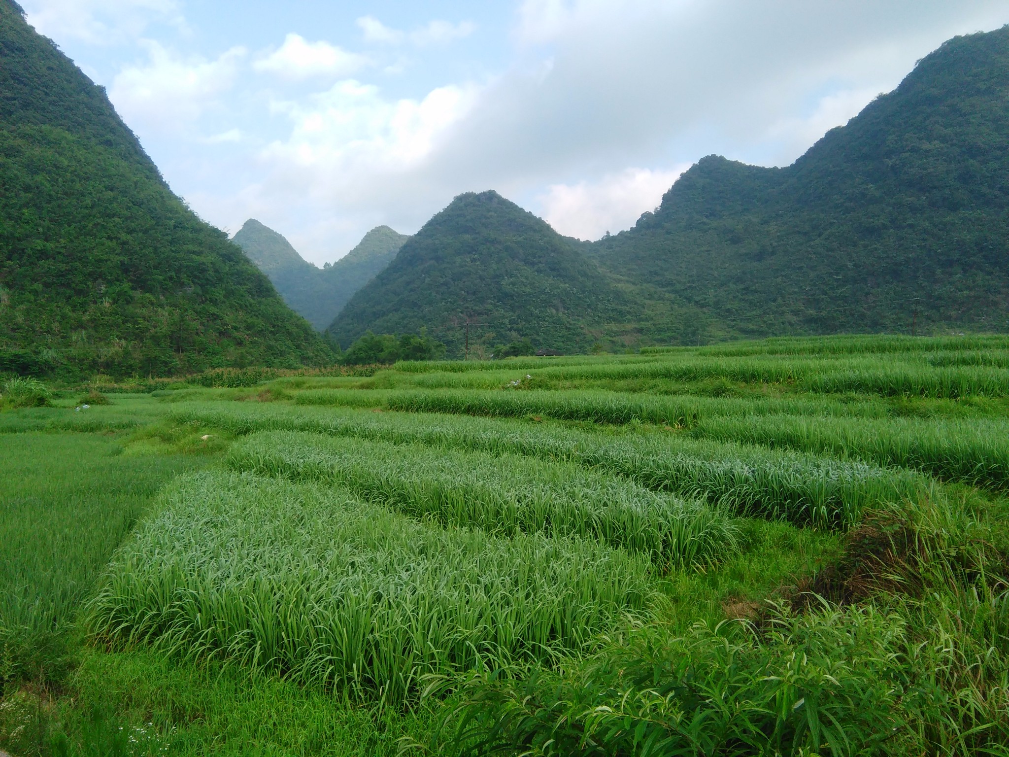 荔波自助遊攻略