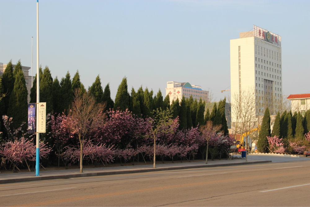 崖头镇的东面是荣成的新城区,海,湖,河汇集.