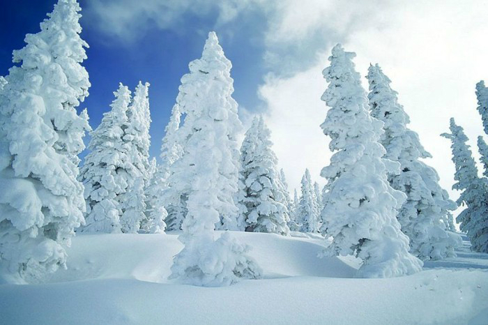 wKgB3FDrzCWAGvaGAAO26J7Fufk84.jpeg?imageMogr2%2Fthumbnail%2F600x%2Fquality%2F90