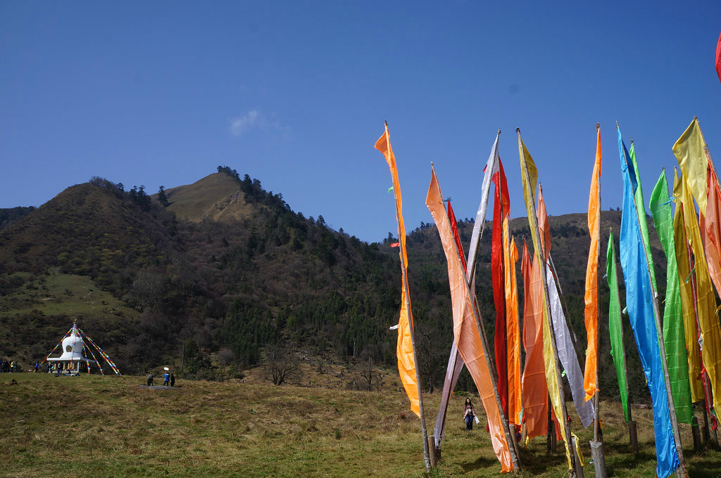 醉美秋色在川西---四川雅安寶興 東拉山 神木壘金秋楓情