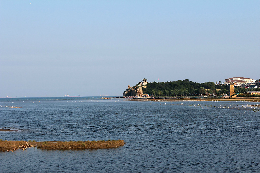 秦皇島市北戴河區觀鳥溼地,北戴河旅遊攻略 - 馬蜂窩