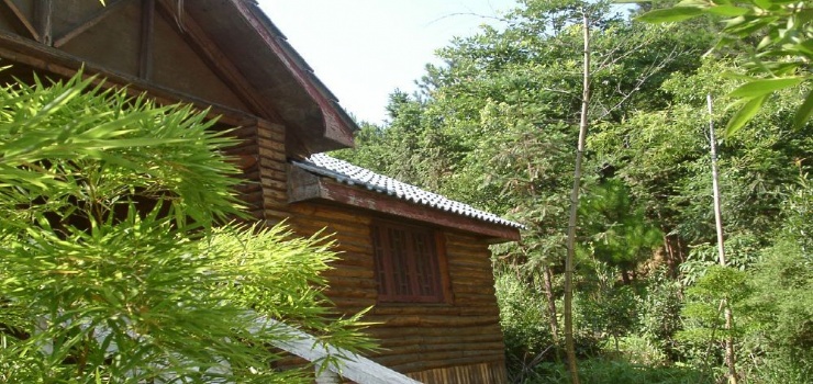 【岳阳县景点图片】相思园