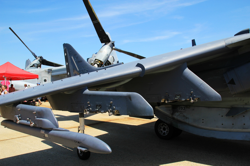 悬臂式上单翼,机翼下有下垂的副翼和起落架.整个机翼有明显的下反角.