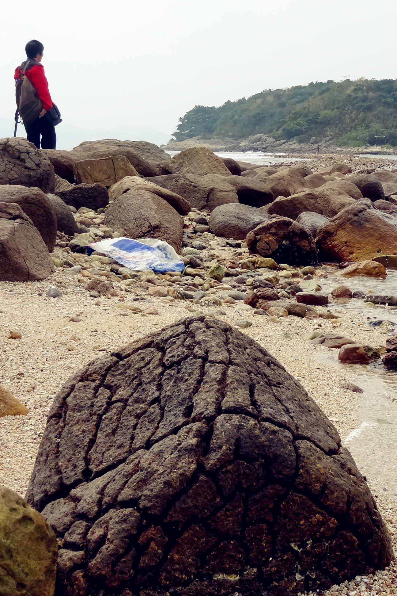 連島沙洲由卵石和沙礫組成,漲潮時會被海水浸沒.