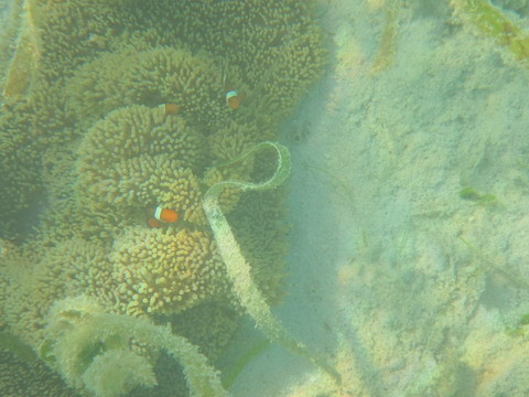 wKgB3FHQK-qAenHSAADKtStyCxY52.jpeg?imageView2%2F2%2Fw%2F600%2Fq%2F90