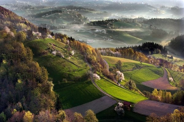 浮世浮城,未央暖花,花开为安.