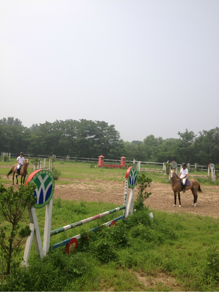 天津汗血宝马养殖基地