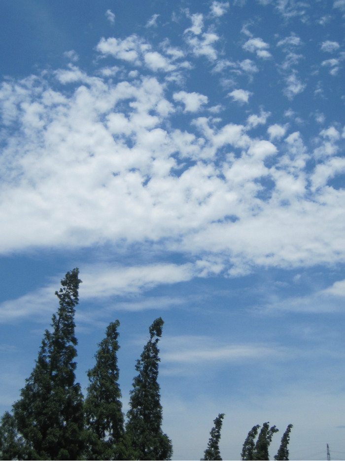 蓝蓝的天空白云朵朵  你是那样的美丽