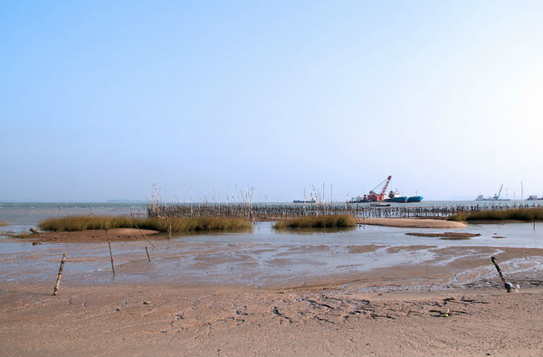 发现厦门"新大陆"——集美后田海滩[安静,游客甚少,还有特色又美味