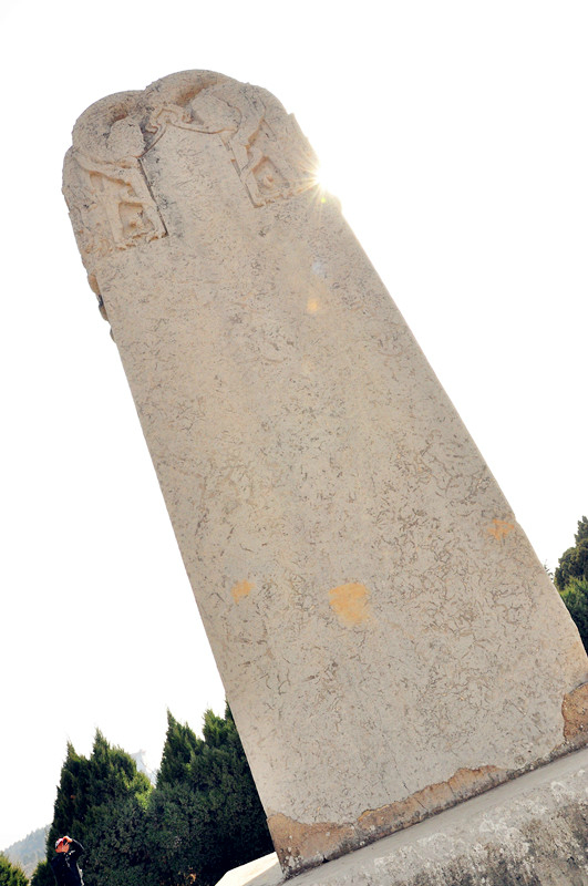 礼泉gdp_礼泉烙面图片(3)