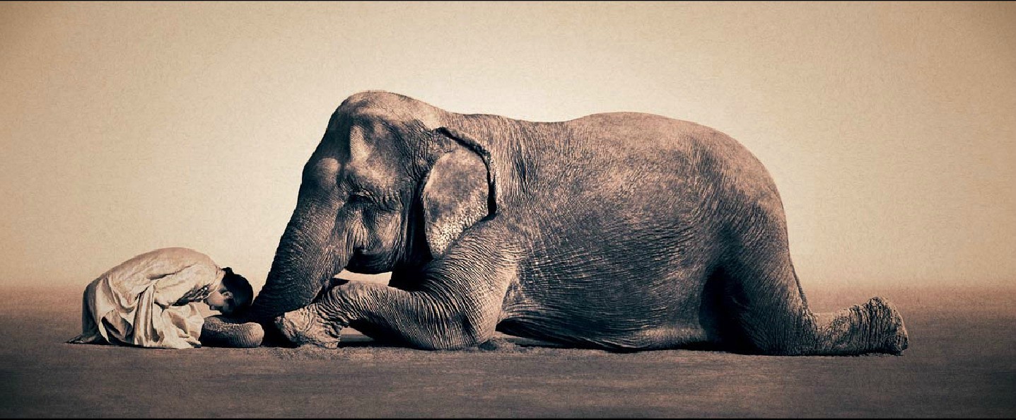 生命的礼赞——《尘与雪》 - 马蜂窝