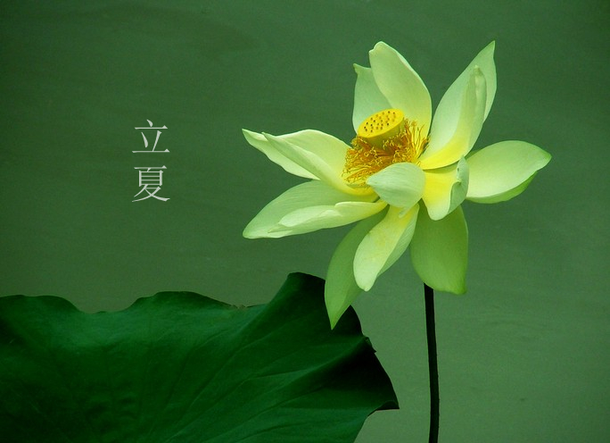 夏天从什么时候开始,2014夏天什么时候来