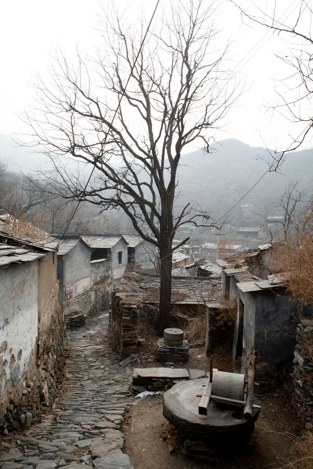 废村----走向城市化的中国