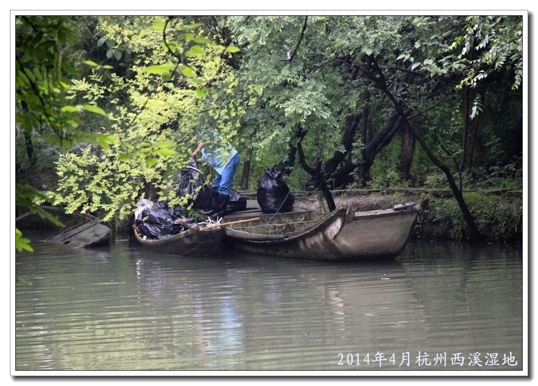 西西人艺体图片大胆,西西人艺体图片大胆杨,西西人艺体图片大胆i