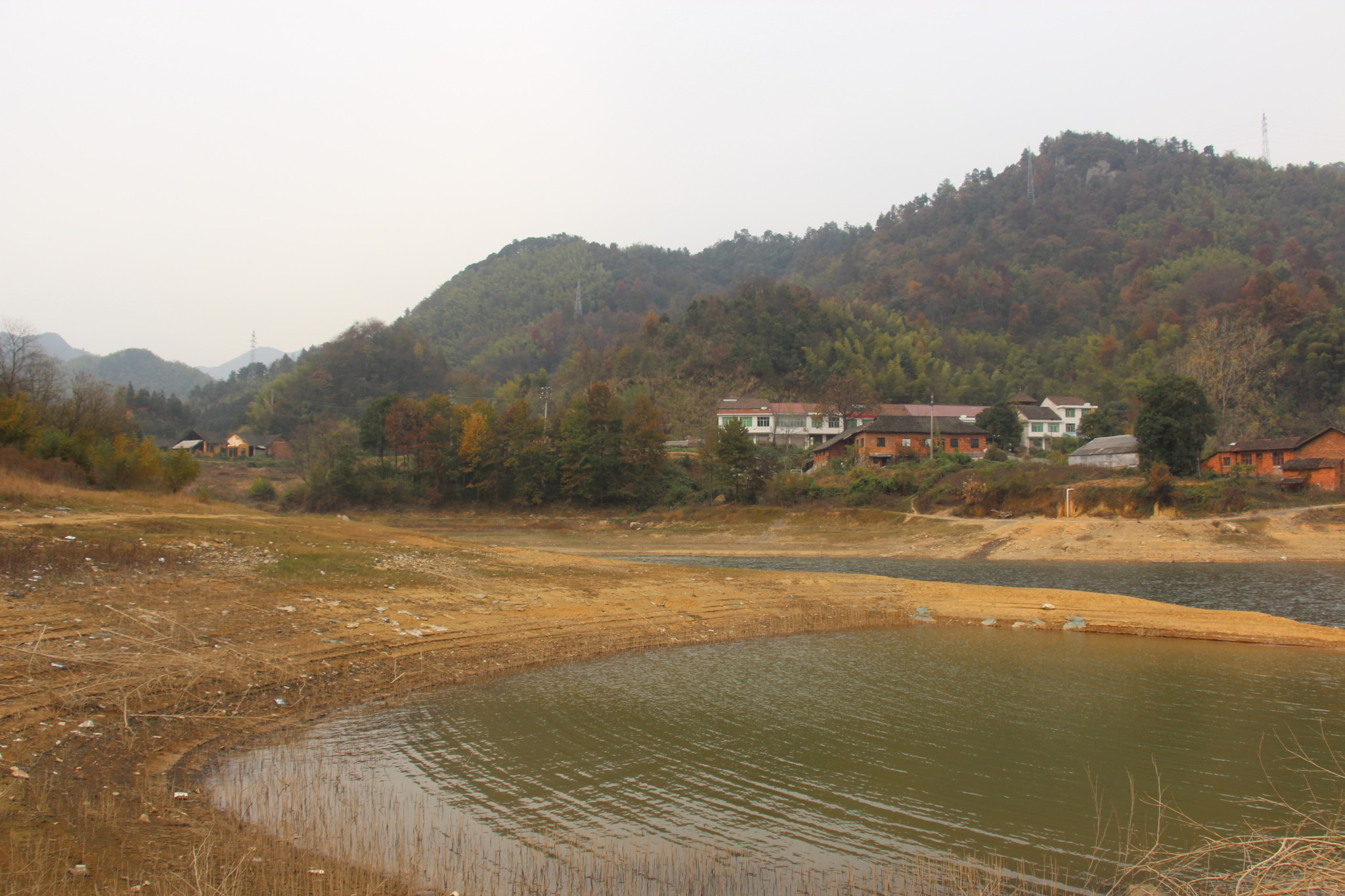 益陽 桃花江森林公園