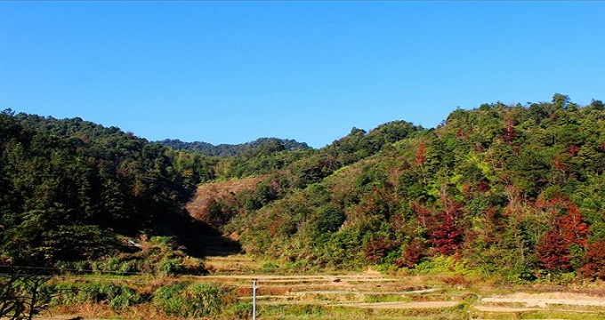 紫金縣位於廣東省東中部,河源市東南部,東江中游東岸,全縣八成以上為