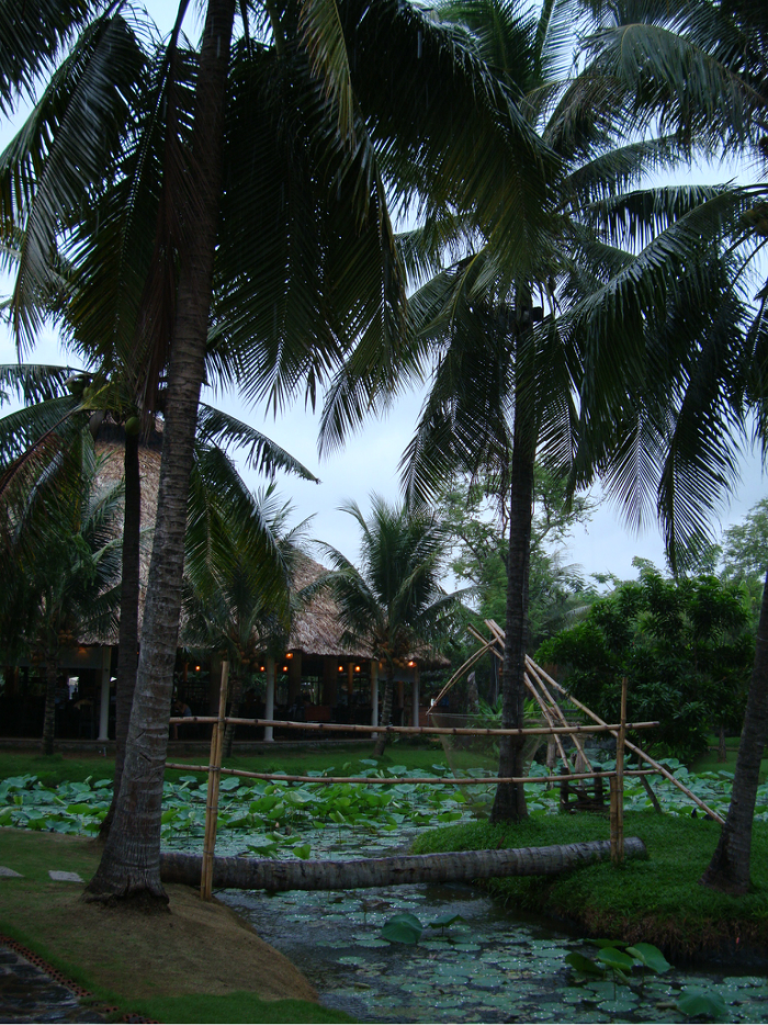 杜拉斯的情人和青木瓜之味道 越南 2010