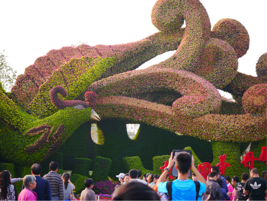 北京丰台世博园国庆节游园记