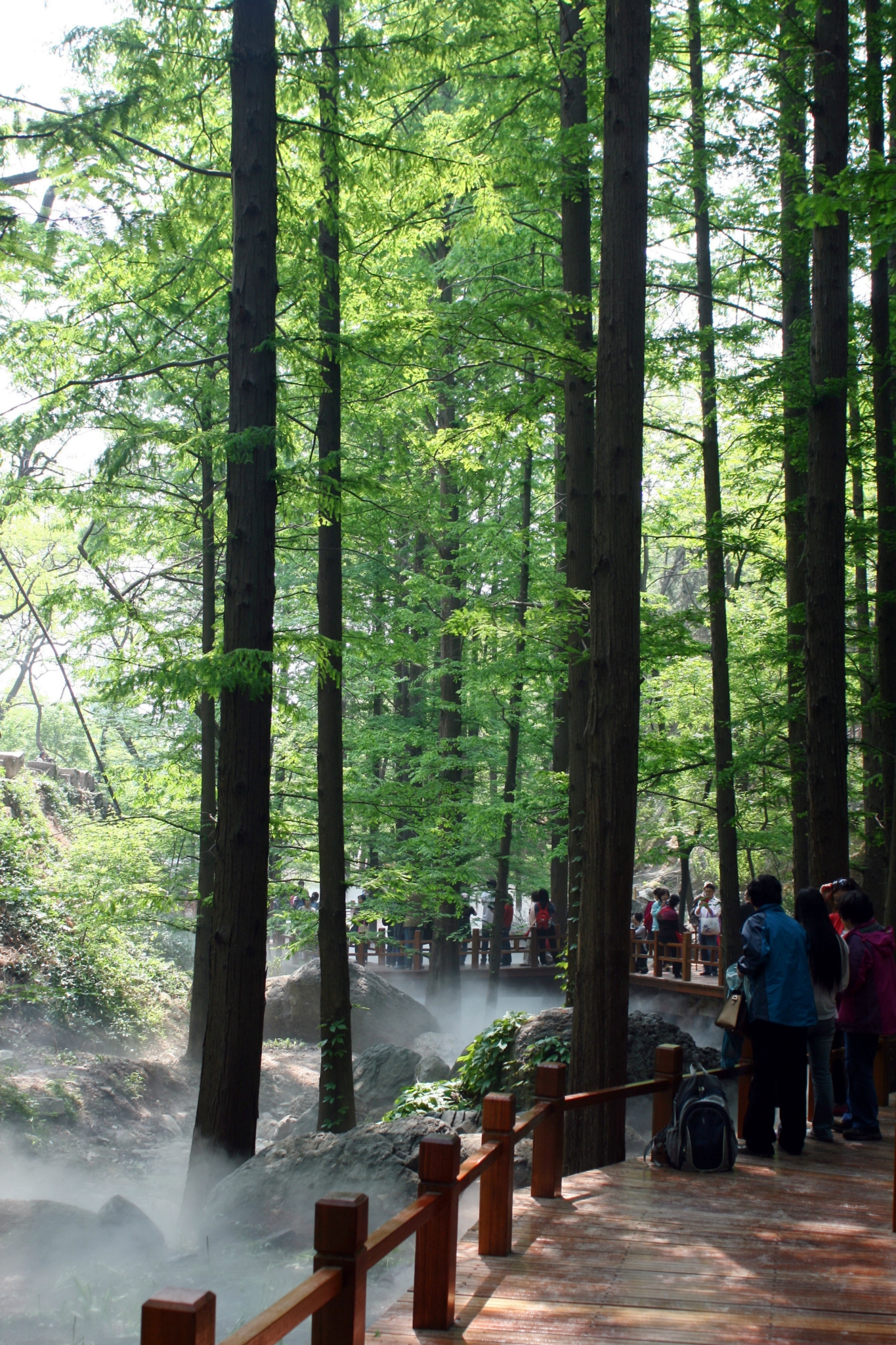 北京香山樱桃沟随手拍