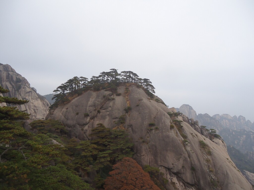 一天走遍黃山大多數景點,2013年11月黃山遊記,旅遊攻略 - 馬蜂窩