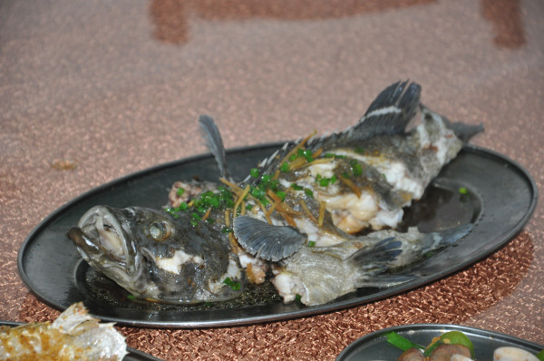 比较便宜的海鲜鱼 wKgB4lKR_b2AA71oAAPjh5fzBXY42.jpeg?imageView2%2F2%2Fw%2F600%2Fq%2F90