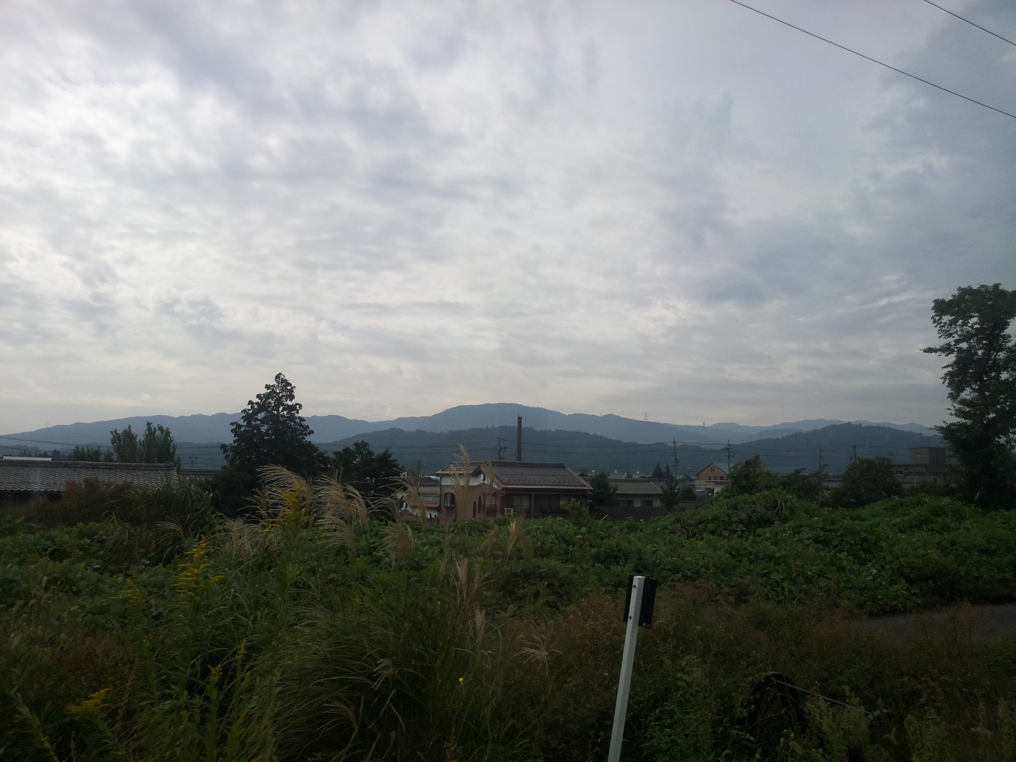 木瓜与葵——浓尾平原之旅 这篇游记豪迈地提到了