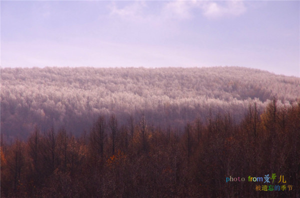 额尔古纳河右岸全文txt下载 wKgB4lJXizGAQwruAAbLCxsag_Q59.jpeg?imageView2%2F2%2Fw%2F600%2Fq%2F90