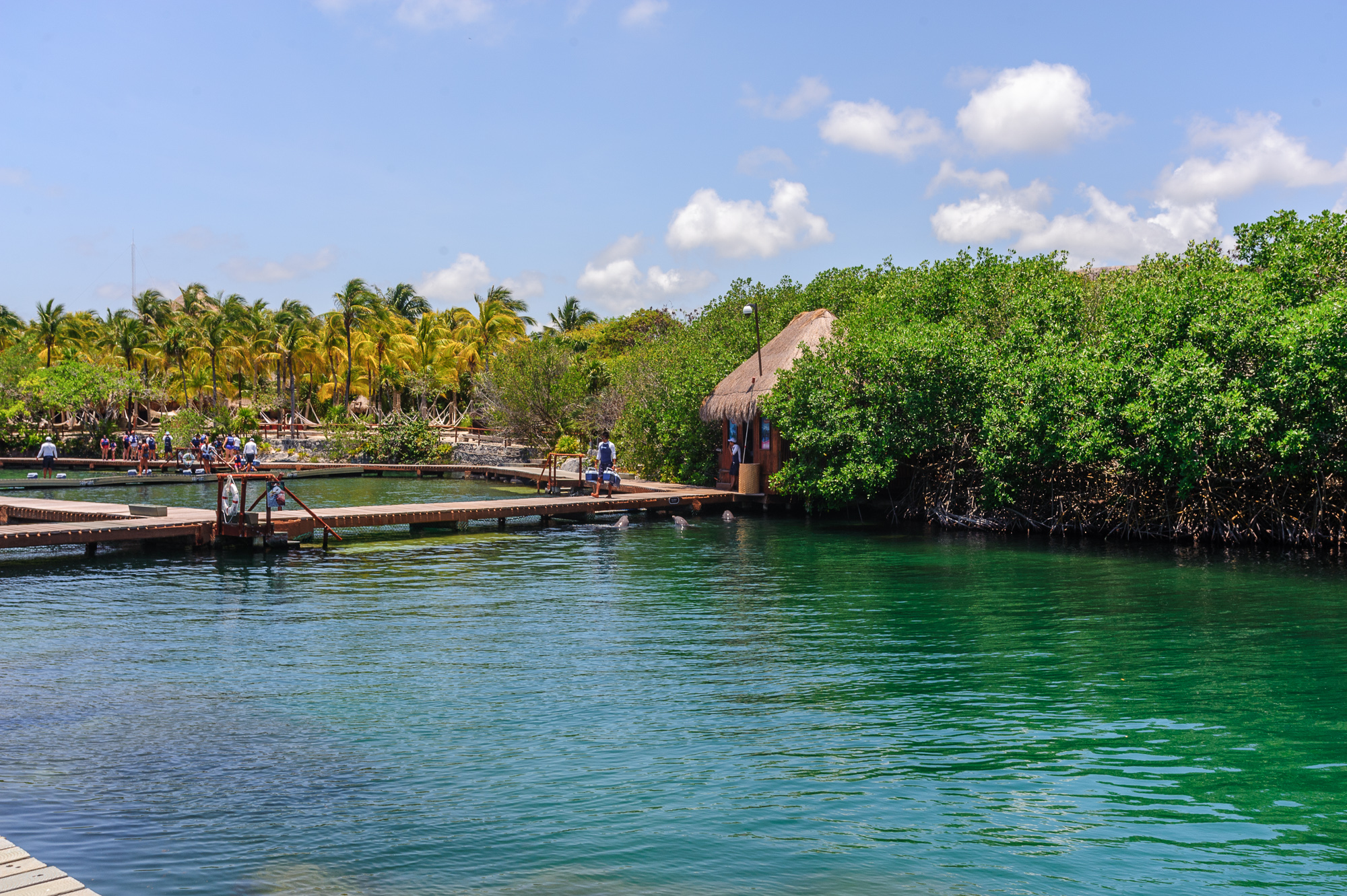 景洪到尤卡坦半岛旅游