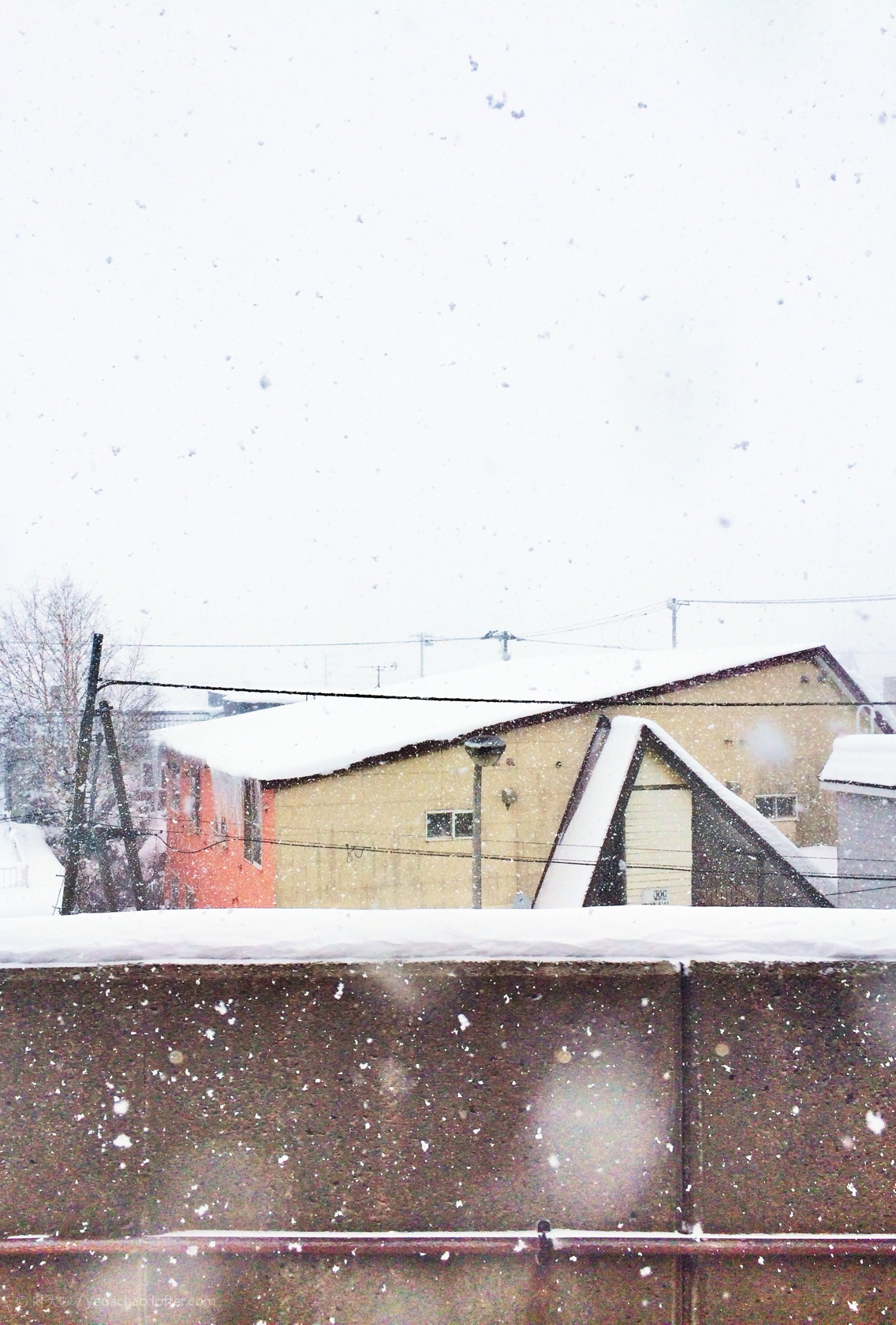 札幌自助遊攻略