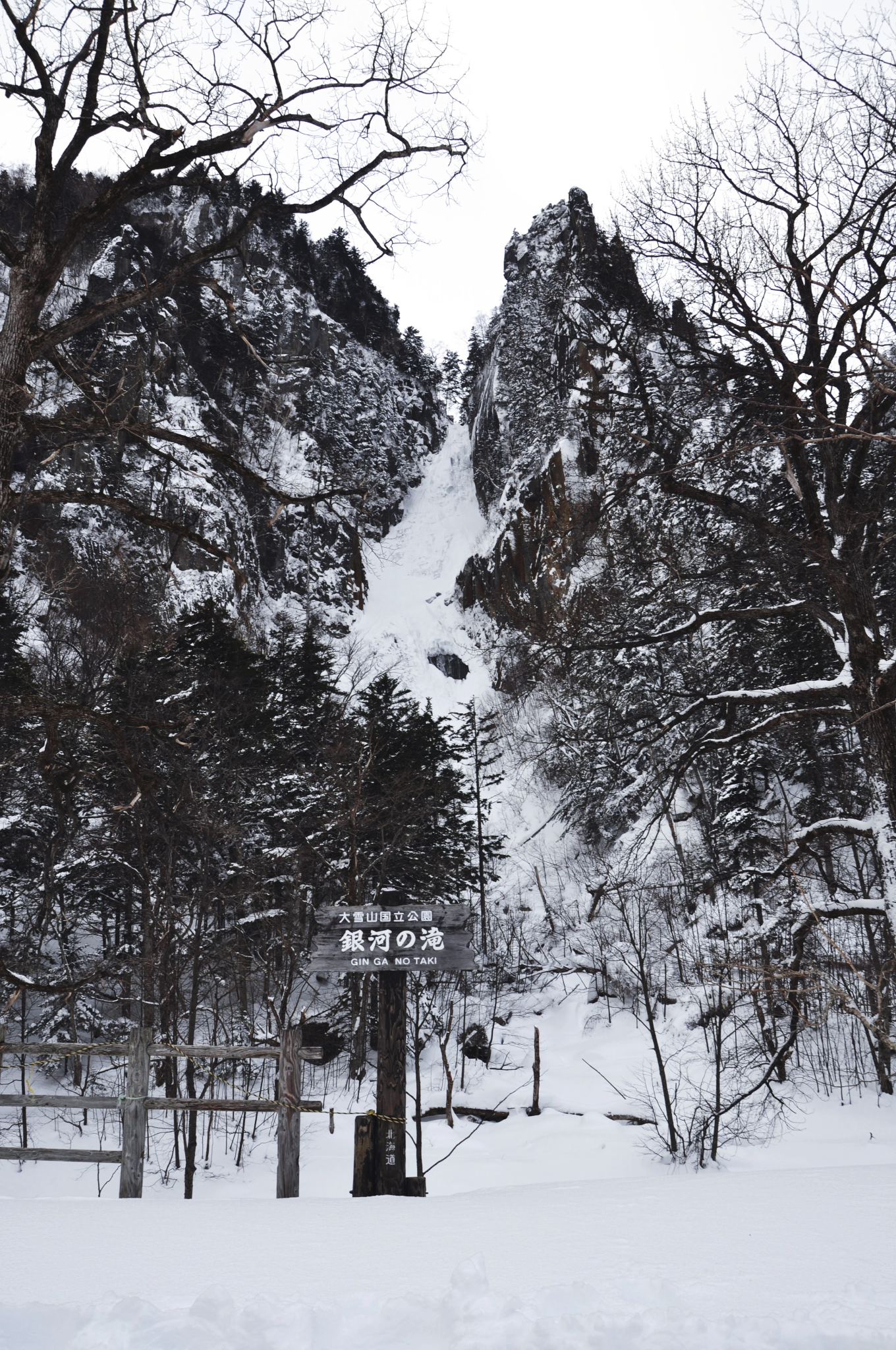 北海道自助遊攻略