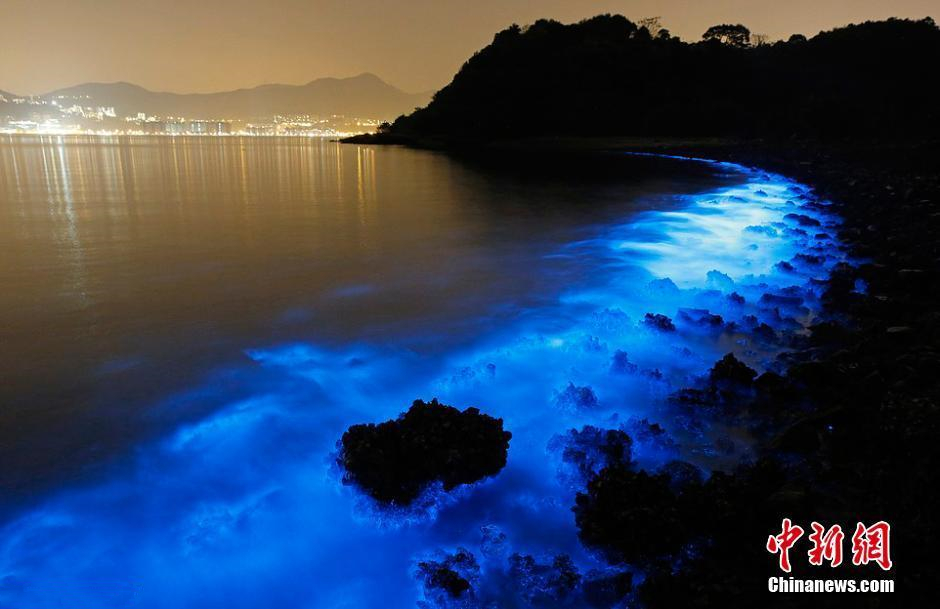 转香港海岸荧光海藻聚集现蓝眼泪奇观