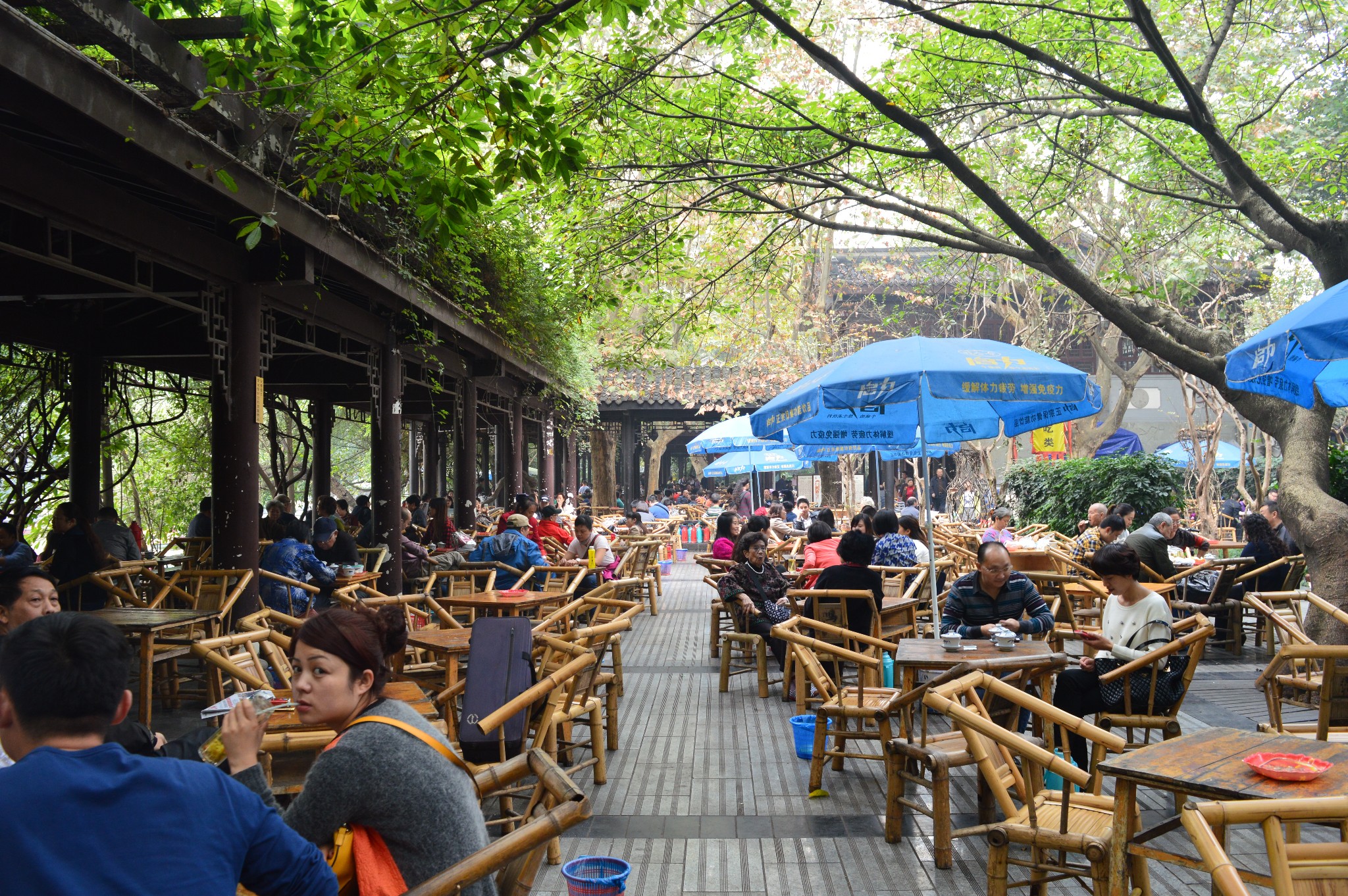 【成都】成都茶馆