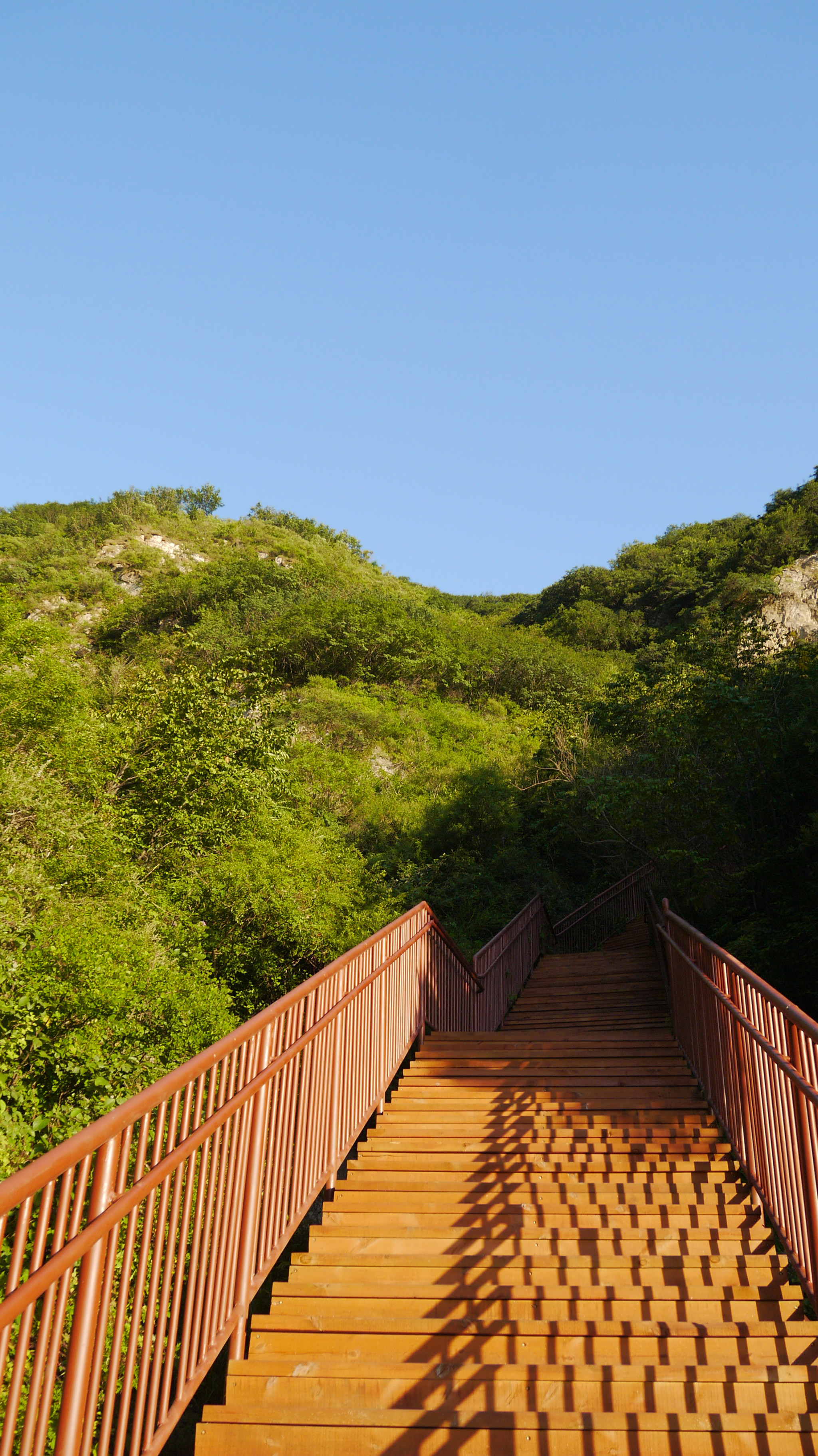 2014年8月6日 順義 舞彩淺山濱水國家登山健身步道 木林段