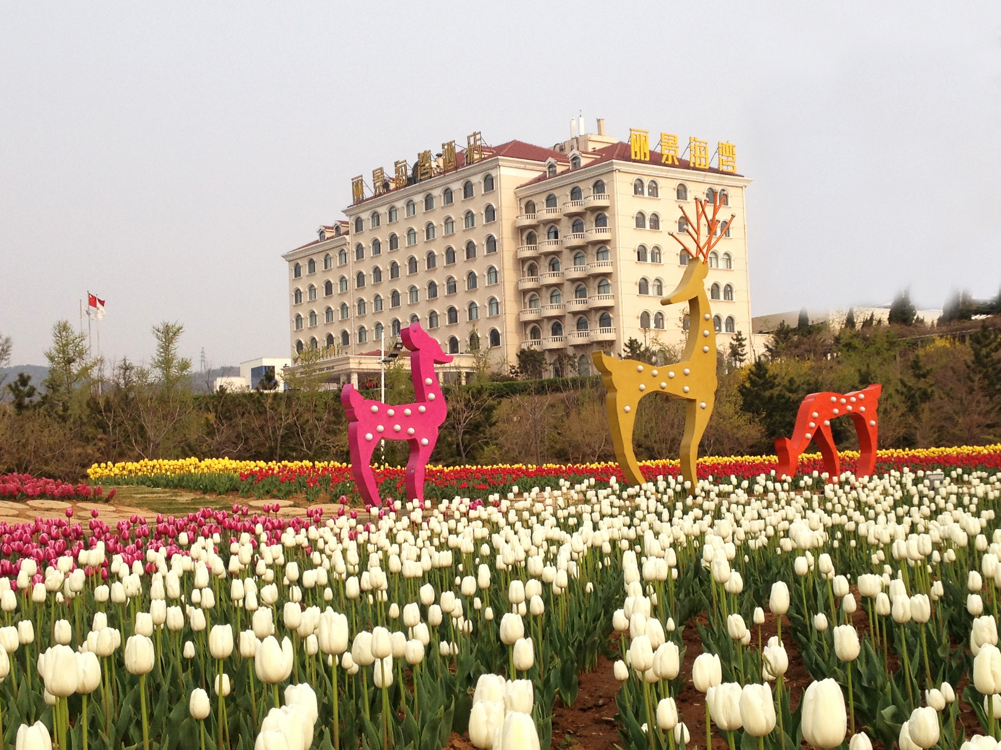 烟台丽景海湾酒店