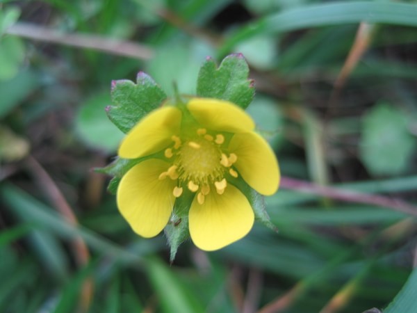 广西桂林【猫儿山】旅游攻略,最详尽版