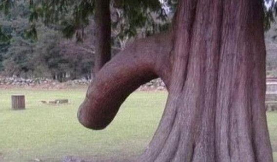 中国10大"不知羞"的景点,少儿不宜