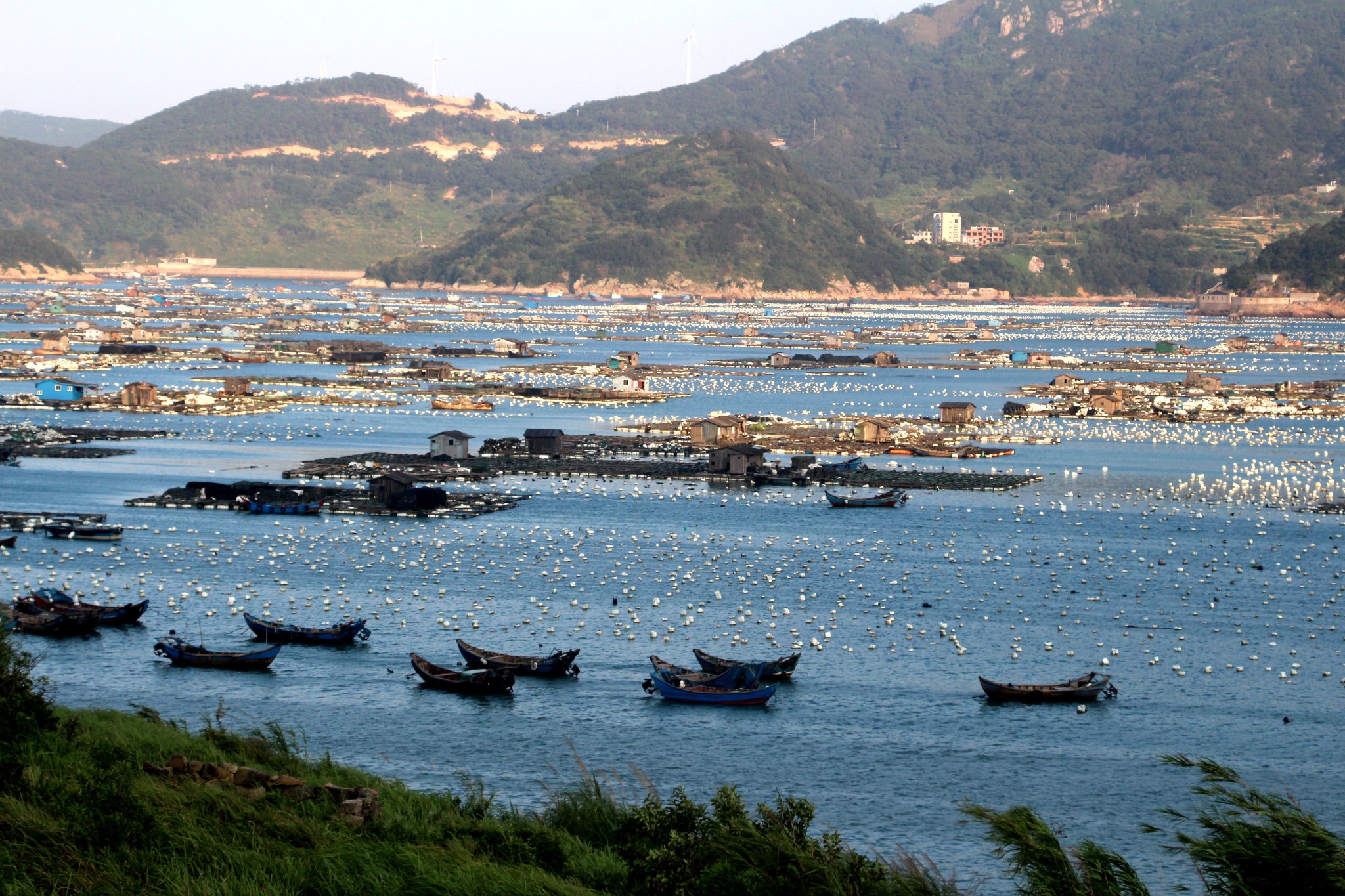 连江黄岐镇人口_连江黄岐旧照