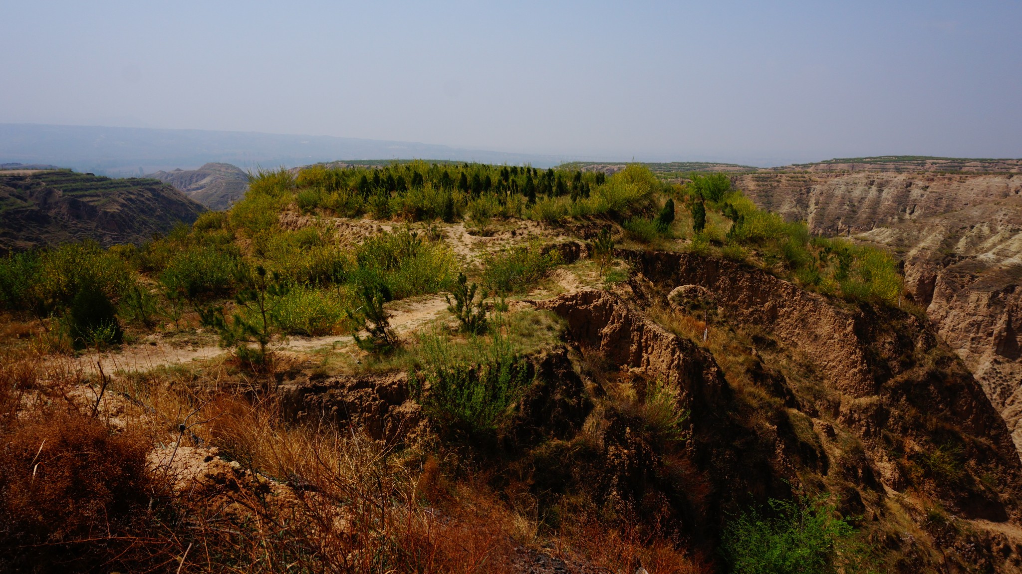 红崖保护器