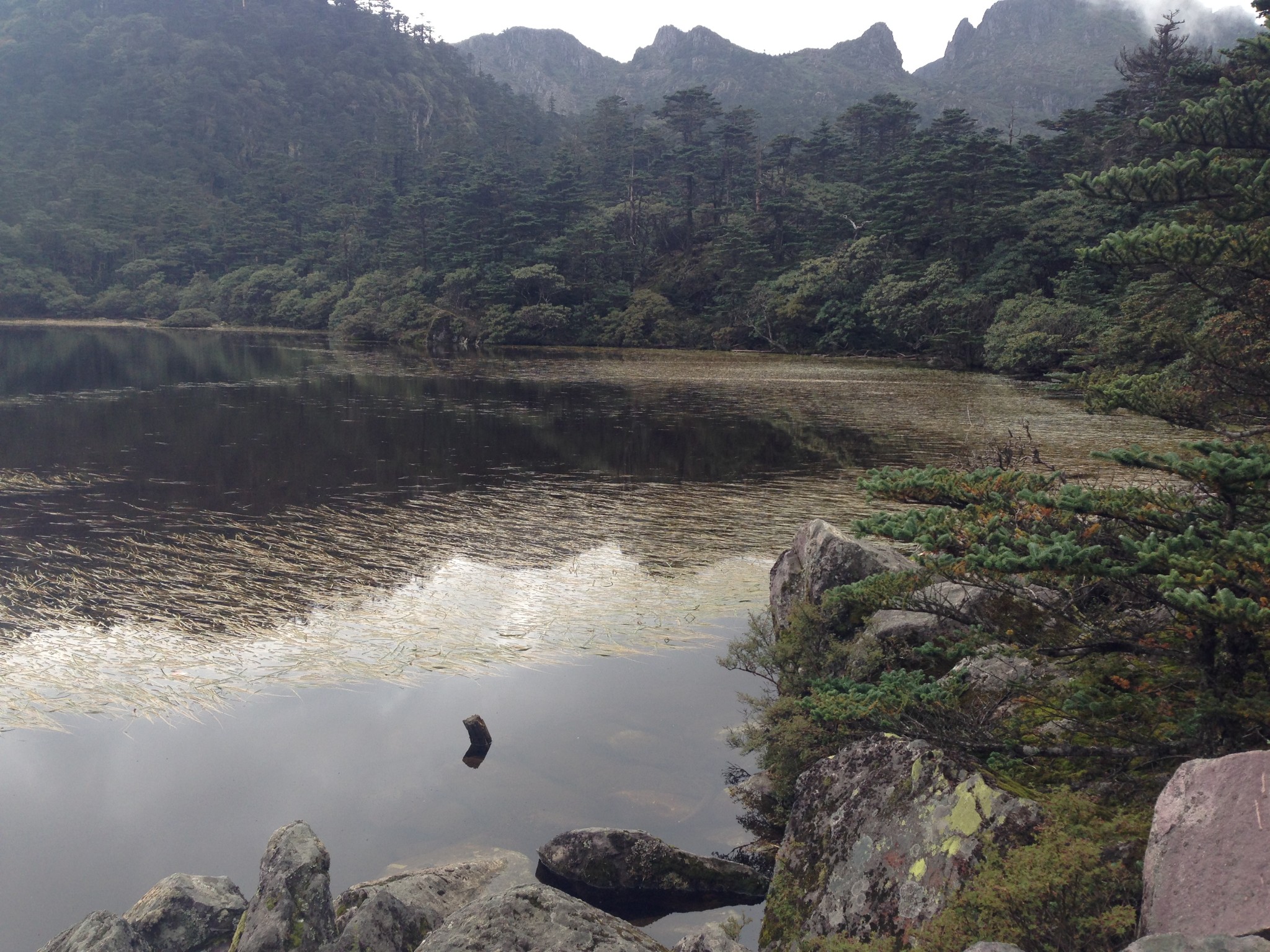 曾經以為高山海子都是藍藍綠綠的,美美噠 海拔2000 m的松坪溝墨海是