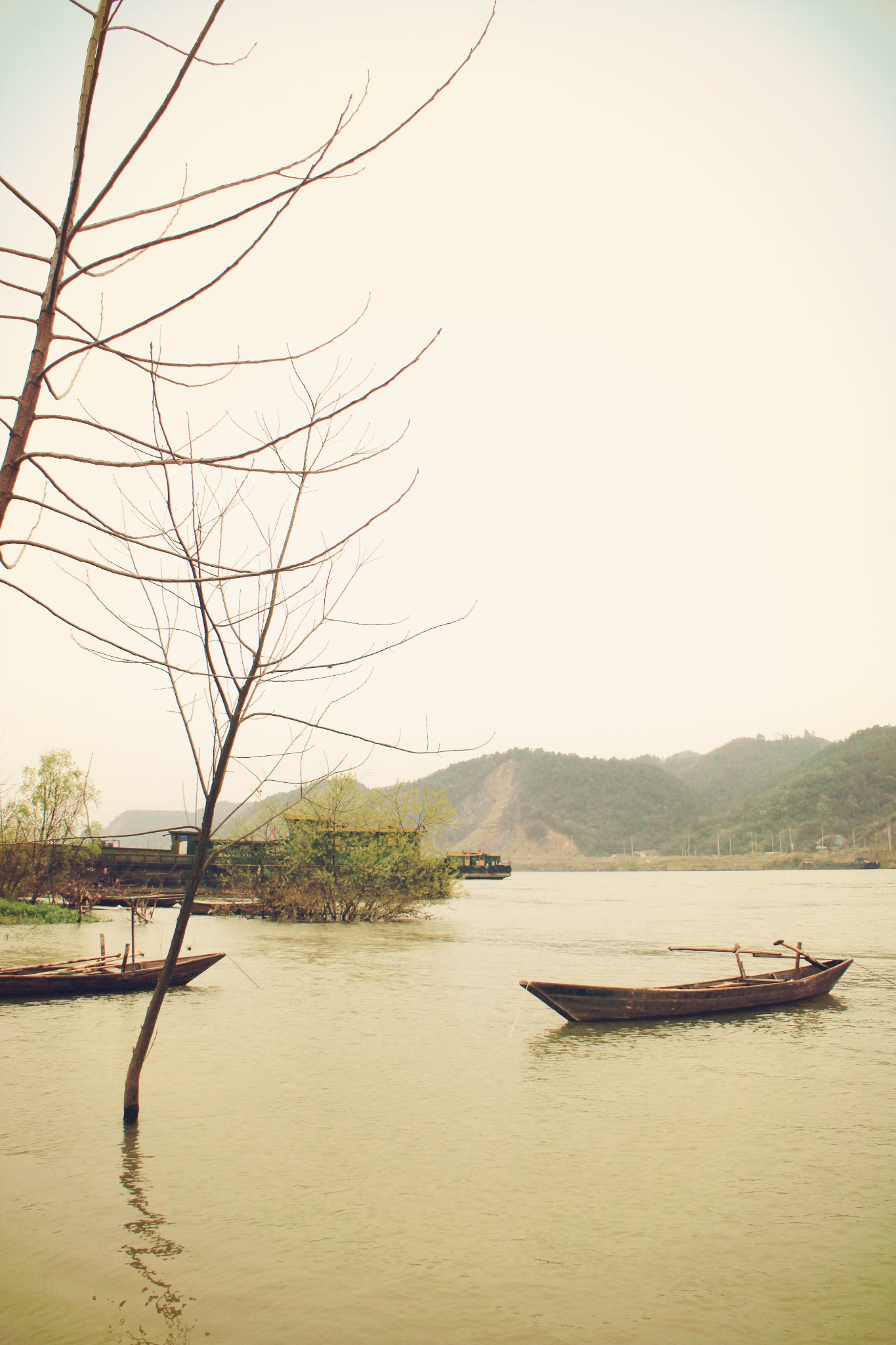 【i-fuyang】杭州富陽桐洲島---《煙雨桐洲,最美春天》