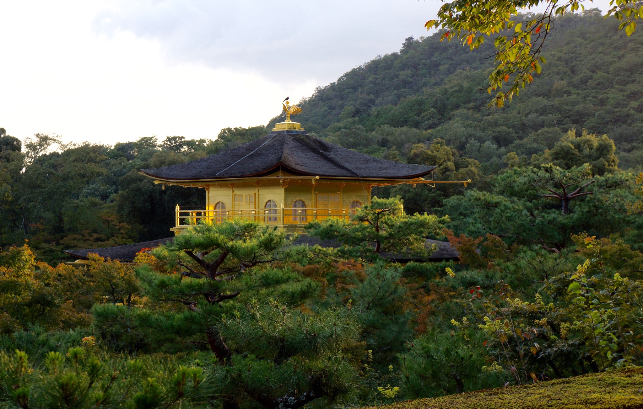 京都自助遊攻略