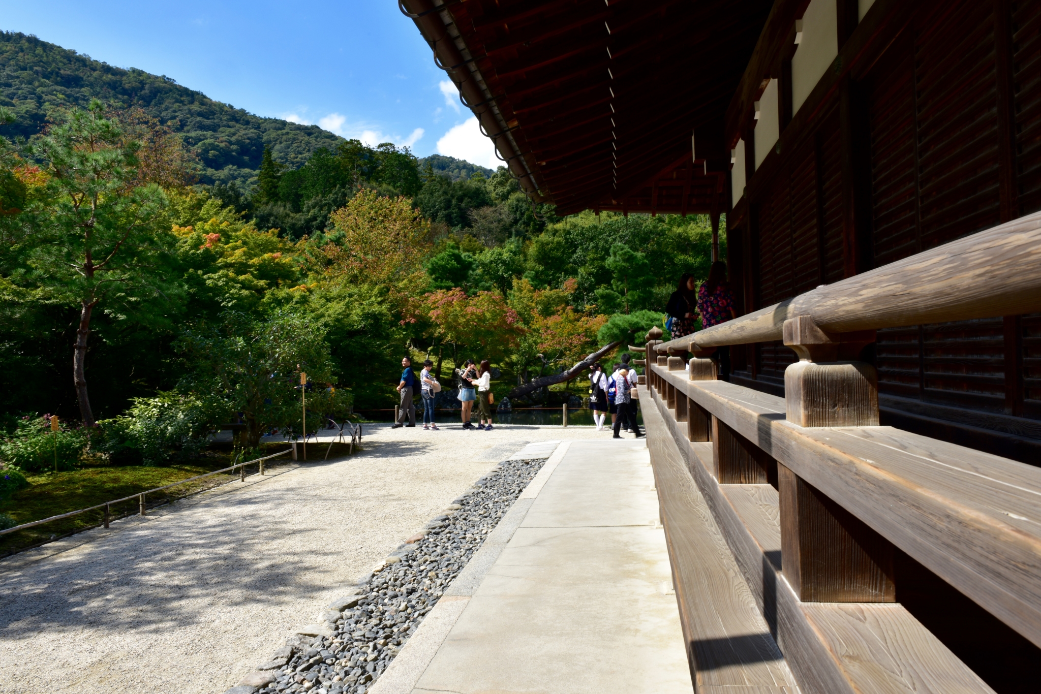 京都自助遊攻略